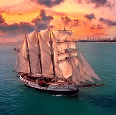 sunset sail thumbnail royal albatross