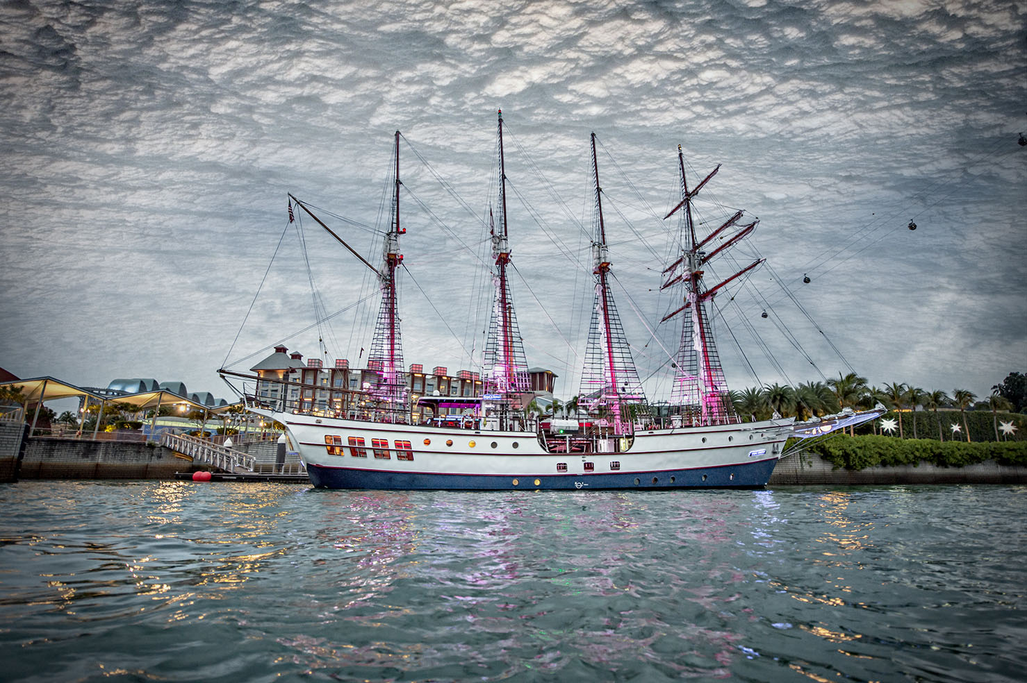 royal albatross side view in sentosa