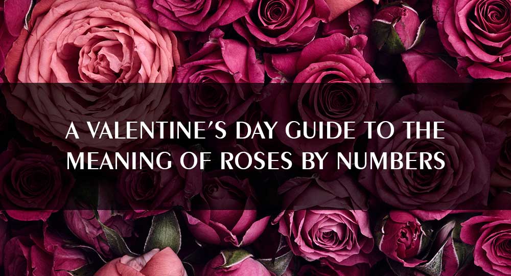 A Valentine's day guide to the meaning of roses by numbers