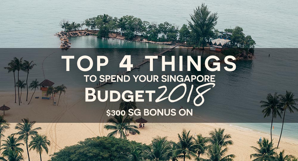top 4 things budget 2018 royal albatross