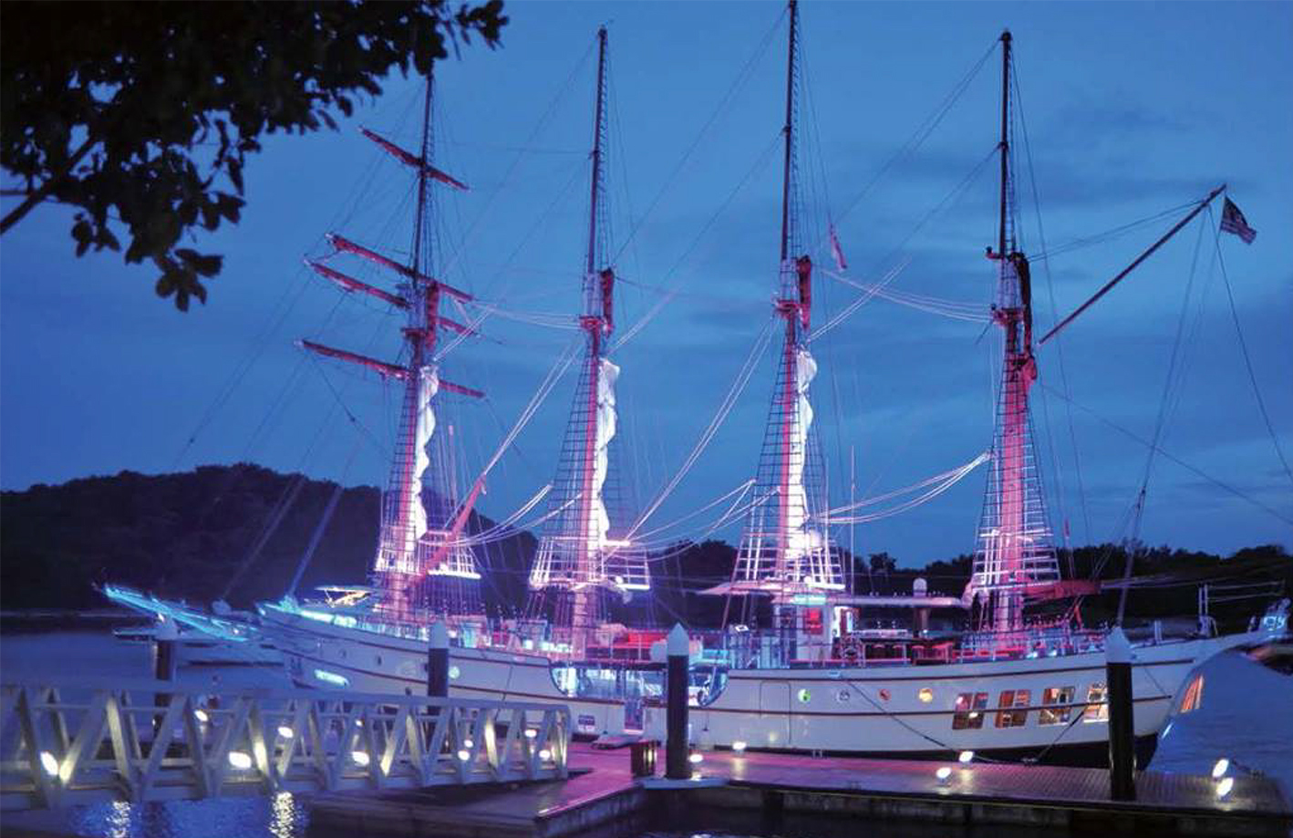 night view of royal albatross with lights