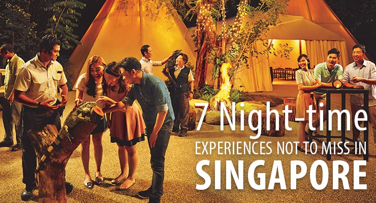 7 night time experience in singapore royal albatross