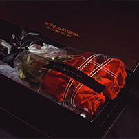 rose gift in a box royal albatross