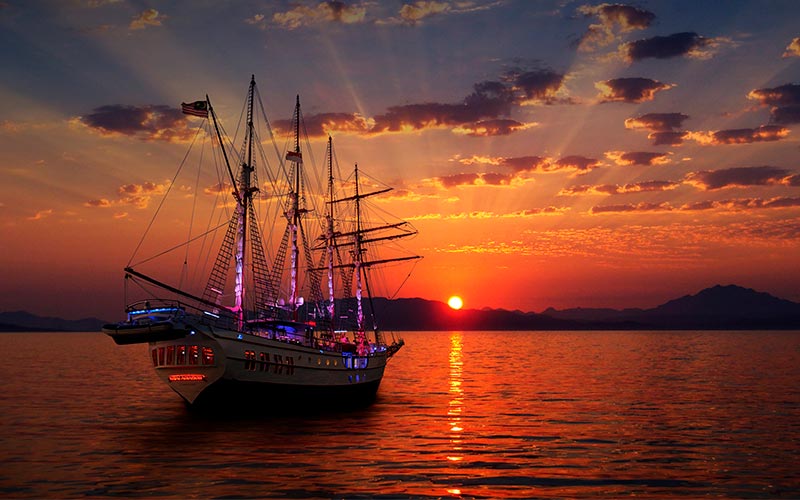 sunset sailing on royal albatross