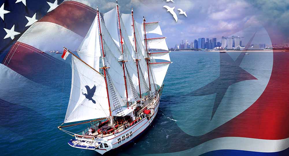 peace cruise main image banner royal albatross