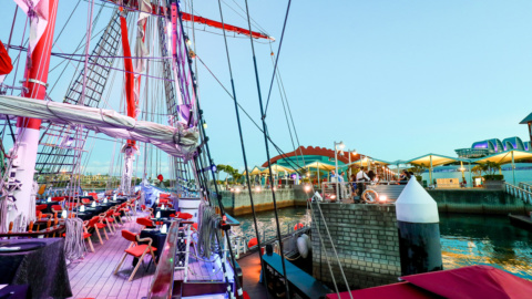 royal-albatross-Dockside-Reception
