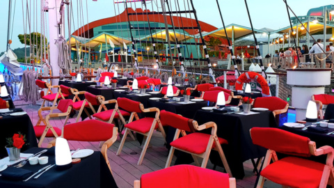 upper-fore-ward-deck-Royal_albatross
