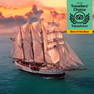 sunset-dinner-botb-gif