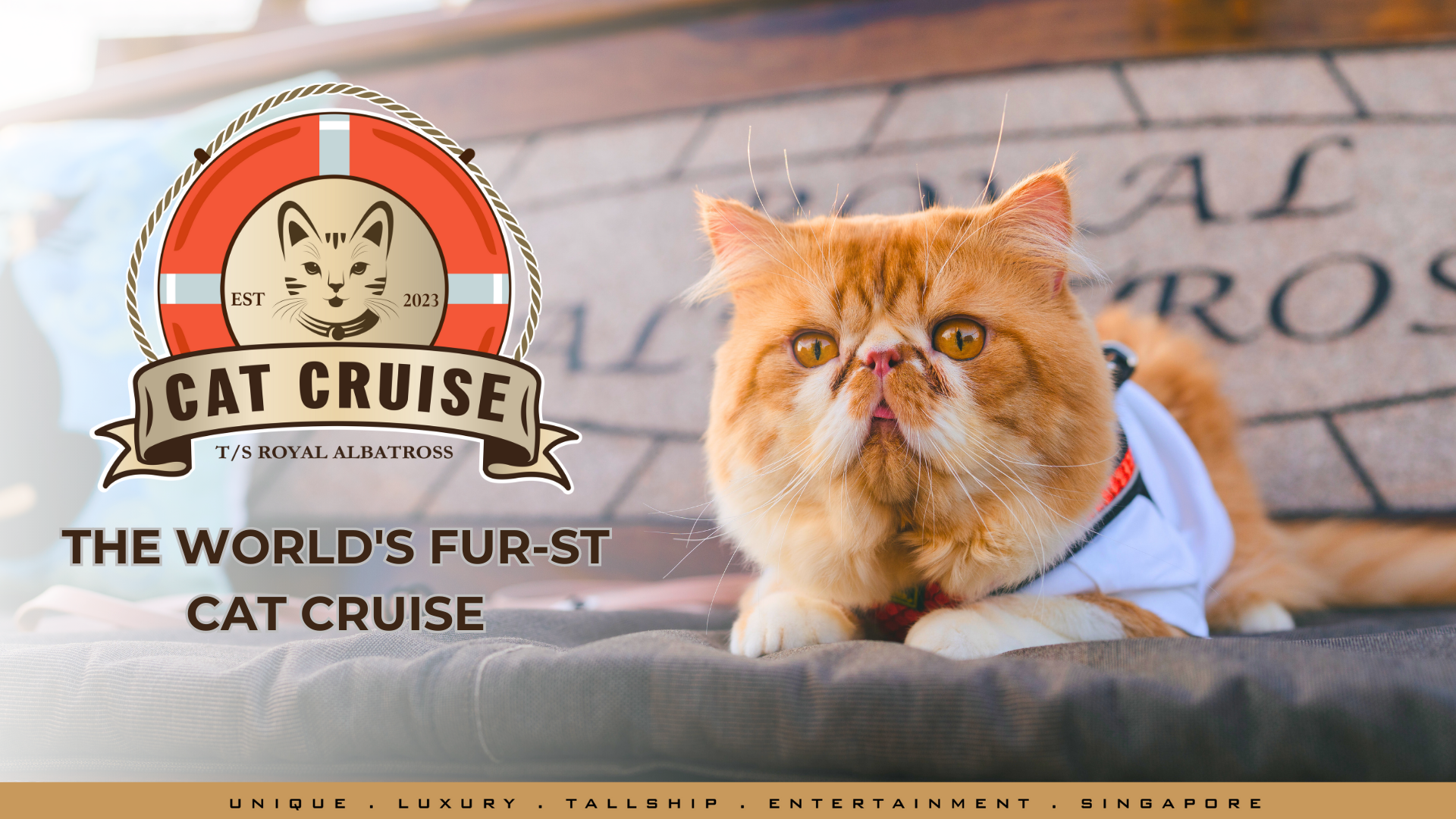 Cat Cruise by the Royal Albatross - The World's Fur-st Cat Cruise