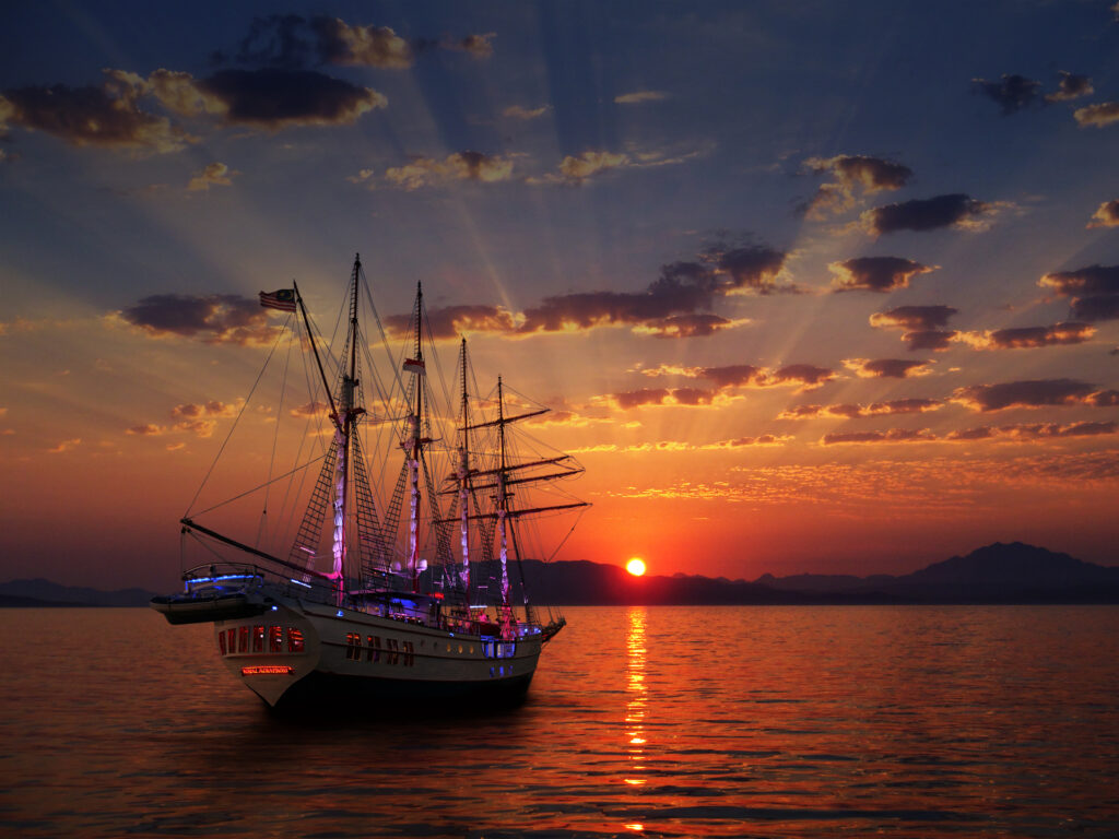 Royal Albatross - Sunset Sail